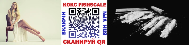 Кокаин FishScale  Купить закладки  Плёс 