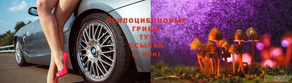гашик Беломорск
