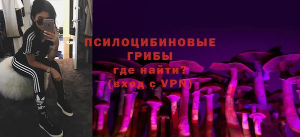jwh Белокуриха
