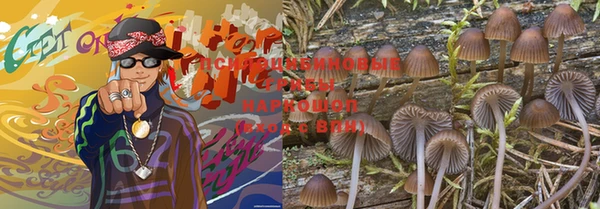 jwh Белокуриха
