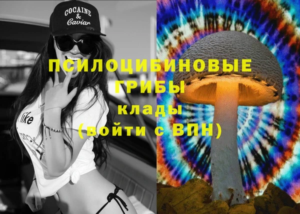 гашик Беломорск